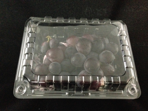 葡萄盒‧塑膠包裝盒